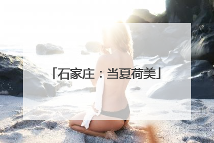 石家庄：当夏荷美