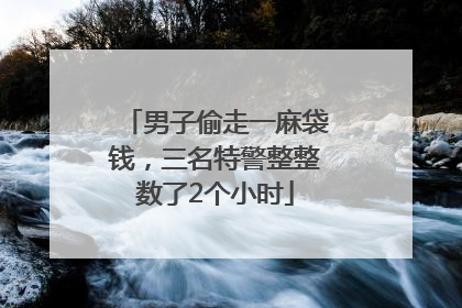 男子偷走一麻袋钱，三名特警整整数了2个小时