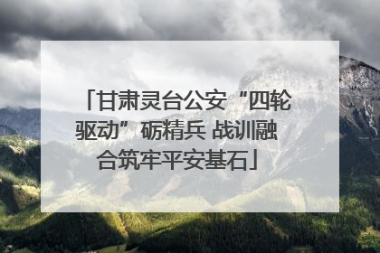 甘肃灵台公安“四轮驱动”砺精兵 战训融合筑牢平安基石