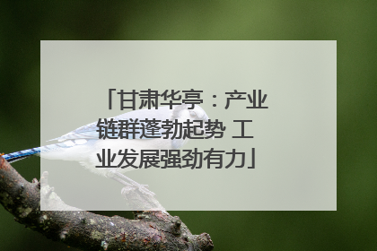 甘肃华亭：产业链群蓬勃起势 工业发展强劲有力