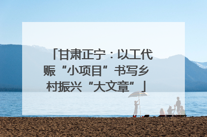 甘肃正宁：以工代赈“小项目”书写乡村振兴“大文章”