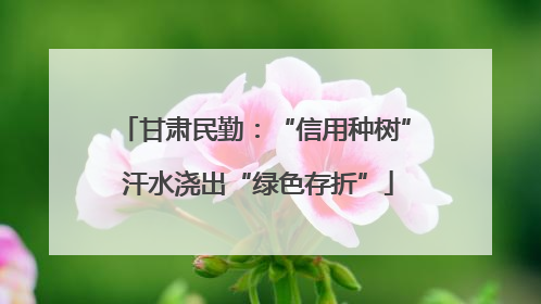 甘肃民勤：“信用种树” 汗水浇出“绿色存折”