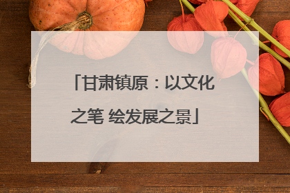 甘肃镇原：以文化之笔 绘发展之景