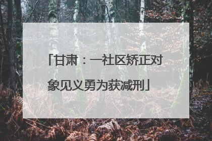 甘肃：一社区矫正对象见义勇为获减刑