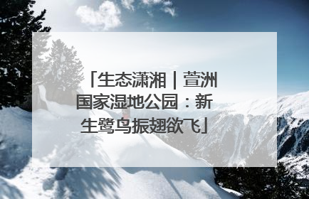 生态潇湘｜萱洲国家湿地公园：新生鹭鸟振翅欲飞