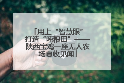 用上“智慧眼” 打造“吨粮田”——陕西宝鸡一座无人农场夏收见闻