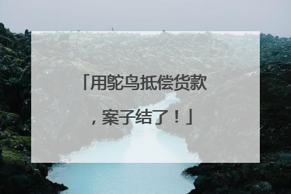 用鸵鸟抵偿货款，案子结了！