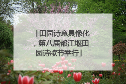 田园诗意具像化，第八届都江堰田园诗歌节举行