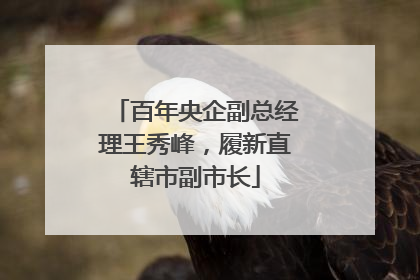 百年央企副总经理王秀峰，履新直辖市副市长