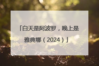 白天是阿波罗，晚上是雅典娜（2024）