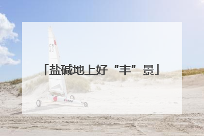 盐碱地上好“丰”景