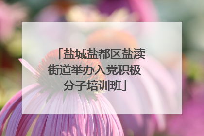 盐城盐都区盐渎街道举办入党积极分子培训班