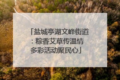 盐城亭湖文峰街道：粽香艾草传温情 多彩活动聚民心