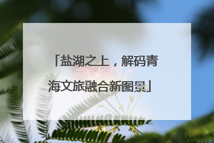 盐湖之上，解码青海文旅融合新图景