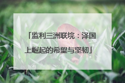 监利三洲联垸：泽国上崛起的希望与坚韧