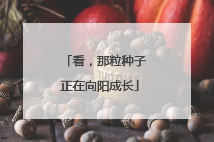 看，那粒种子正在向阳成长
