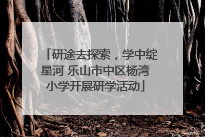 研途去探索，学中绽星河 乐山市中区杨湾小学开展研学活动