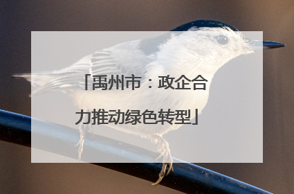 禹州市：政企合力推动绿色转型