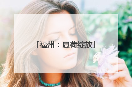 福州：夏荷绽放