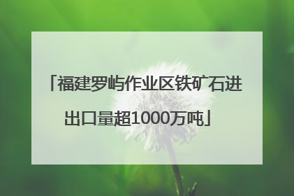 福建罗屿作业区铁矿石进出口量超1000万吨