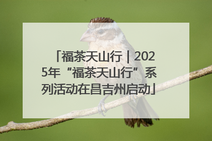 福茶天山行｜2025年“福茶天山行”系列活动在昌吉州启动