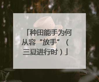 种田能手为何从容“放手”（三夏进行时）