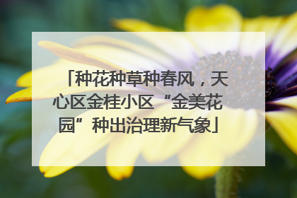 种花种草种春风，天心区金桂小区“金美花园”种出治理新气象