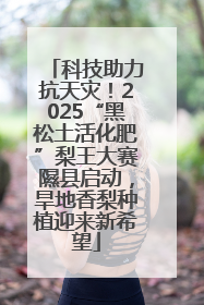 科技助力抗天灾！2025“黑松土活化肥”梨王大赛隰县启动，旱地香梨种植迎来新希望