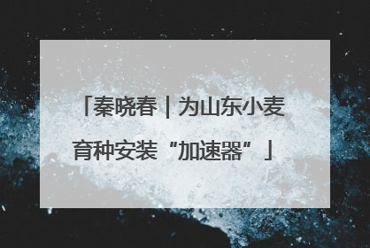 秦晓春｜为山东小麦育种安装“加速器”
