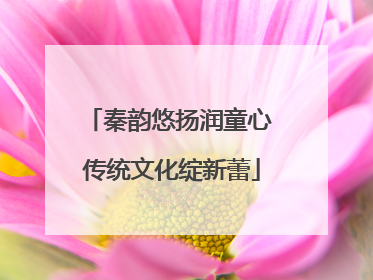 秦韵悠扬润童心 传统文化绽新蕾