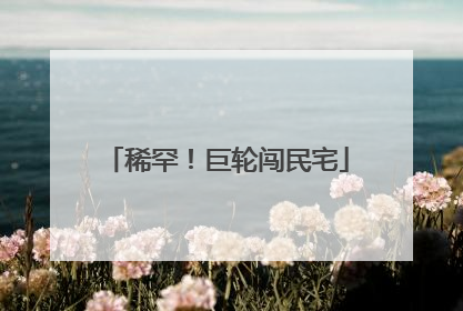 稀罕！巨轮闯民宅