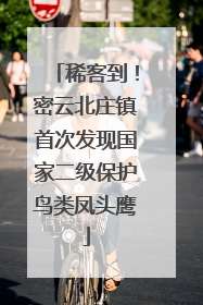 稀客到！密云北庄镇首次发现国家二级保护鸟类凤头鹰
