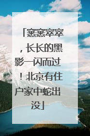 窸窸窣窣，长长的黑影一闪而过！北京有住户家中蛇出没