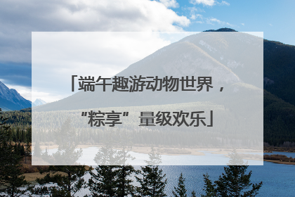 端午趣游动物世界，“粽享”量级欢乐