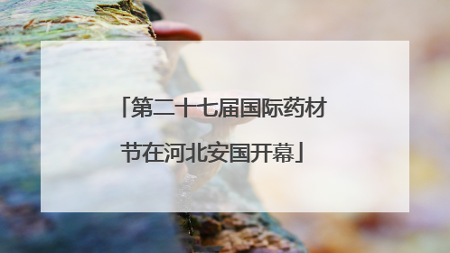 第二十七届国际药材节在河北安国开幕