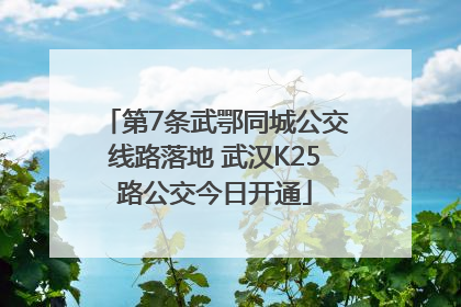 第7条武鄂同城公交线路落地 武汉K25路公交今日开通
