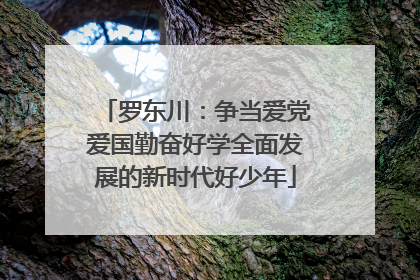 罗东川：争当爱党爱国勤奋好学全面发展的新时代好少年