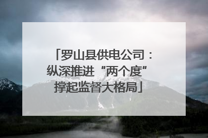 罗山县供电公司：纵深推进“两个度” 撑起监督大格局