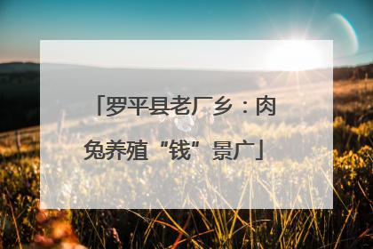罗平县老厂乡：肉兔养殖“钱”景广