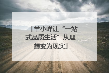 羊小咩让“一站式品质生活”从理想变为现实