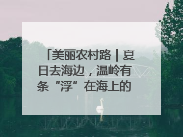 美丽农村路｜夏日去海边，温岭有条“浮”在海上的公路你去过吗？