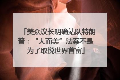 美众议长明确站队特朗普：“大而美”法案不是为了取悦世界首富