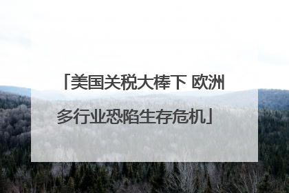 美国关税大棒下 欧洲多行业恐陷生存危机