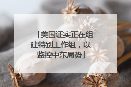 美国证实正在组建特别工作组，以监控中东局势