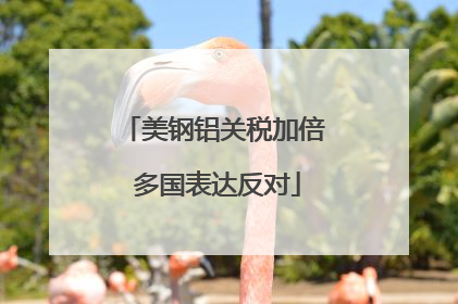 美钢铝关税加倍 多国表达反对