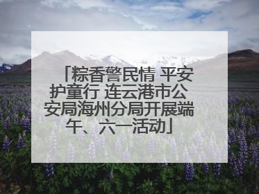 粽香警民情 平安护童行 连云港市公安局海州分局开展端午、六一活动