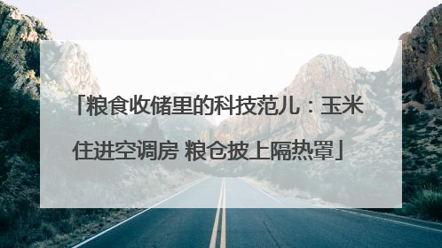 粮食收储里的科技范儿：玉米住进空调房 粮仓披上隔热罩