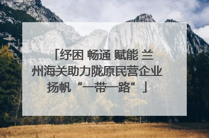纾困 畅通 赋能 兰州海关助力陇原民营企业扬帆“一带一路”