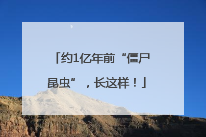 约1亿年前“僵尸昆虫”，长这样！