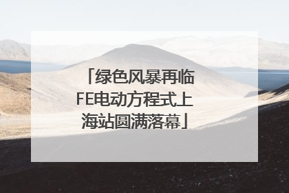 绿色风暴再临 FE电动方程式上海站圆满落幕